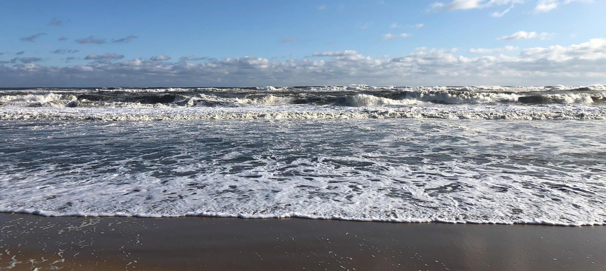 Beach in East Hampton